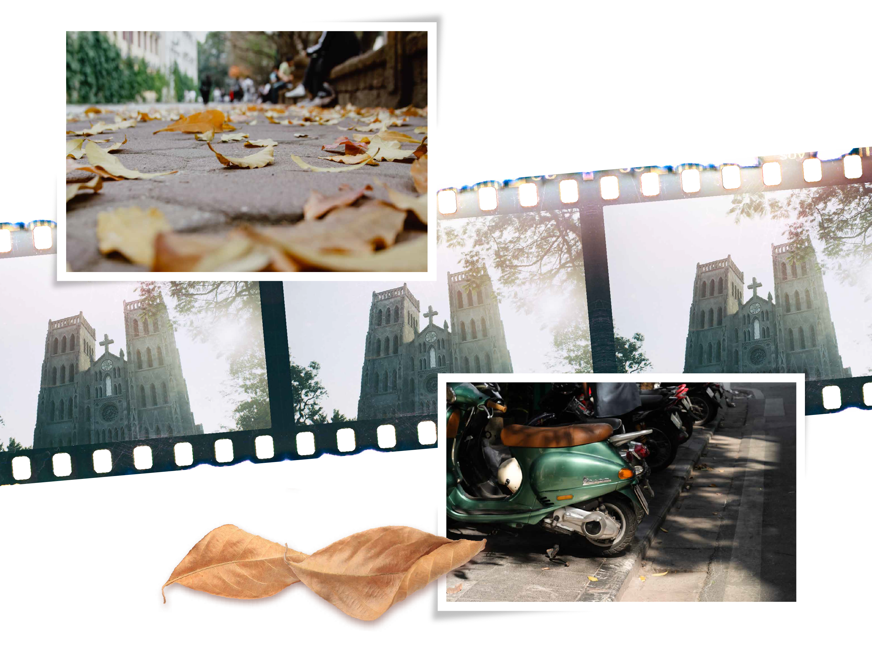 images